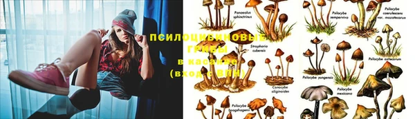 метамфетамин Армянск