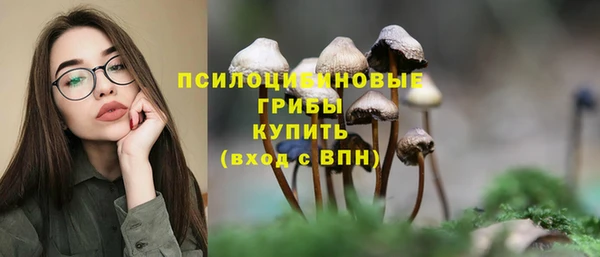 Альфа ПВП Арсеньев