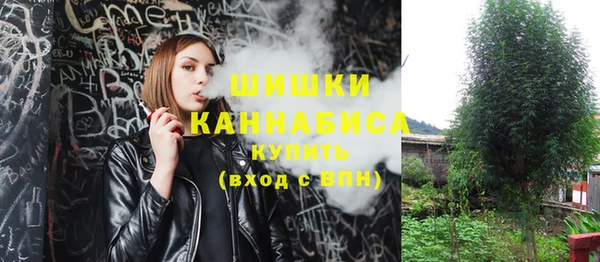 PSILOCYBIN Няндома
