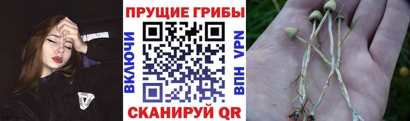 Галлюциногенные грибы Magic Shrooms  blacksprut ONION  Белово  закладка 