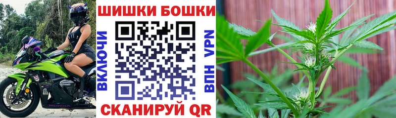 сколько стоит  Белово  MEGA как зайти  Бошки марихуана марихуана 